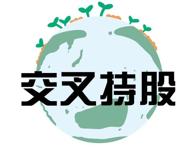 交叉持股安排设计(交叉持股怎么计算持股比例)保定市
